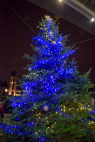 Concordia University Christmas Tree Lighting 2015