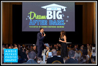 Dream Big Auction 2014