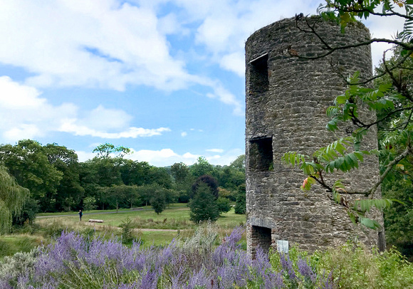 Blarney castle side tower