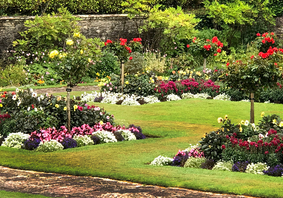 Muckross garden 2