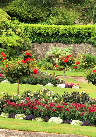 Muckross gardens