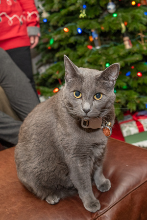 LJXmas23-006