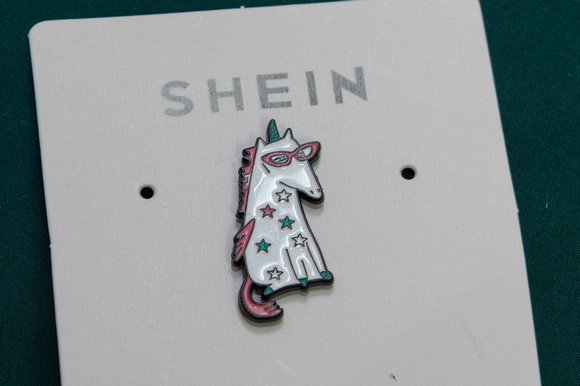 Shein13b-011