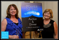 MHCC Power of the Dream Auction 2012